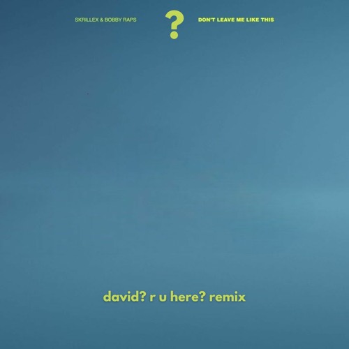 Skrillex & Bobby Raps - Don't Leave Me Like This (david? r u here? remix)