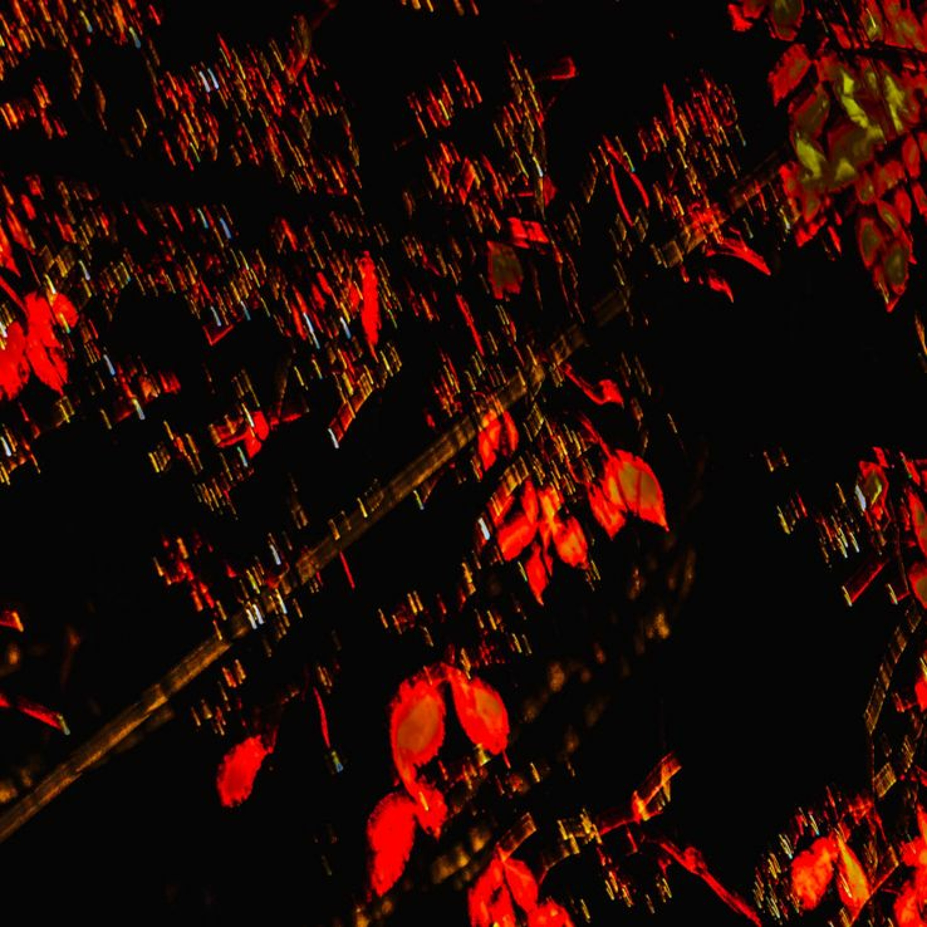 Too Dark Too Soon episode artwork
