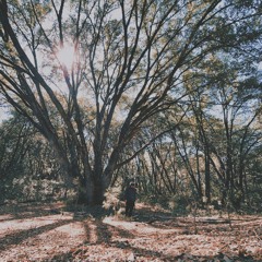 hindsight w/ brecken (neverforever)