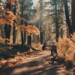 Maybe this is my destiny