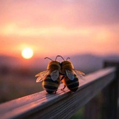 Ballad of "Die Seele Der Zeit"  Love is the Soul of Time