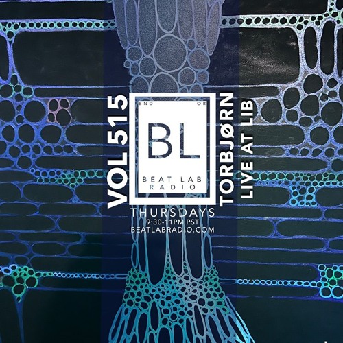 Torbjørn Live @ Lightning in a Bottle 2025