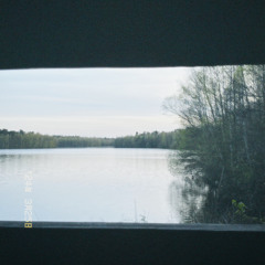 my angel - adrianne lenker