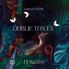 DJ BANGS - OUBLIE TON EX (TRX REMIX)
