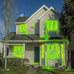 house shenanigans