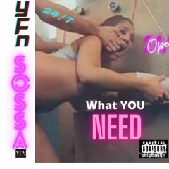 What You Need