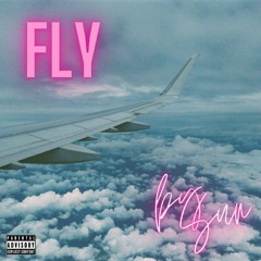 Sun - Fly