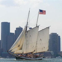Review Special Price Classic Tall Ship Sightseeing Cruise Of Boston Harbor