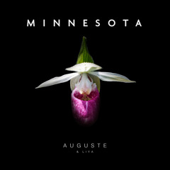 Minnesota