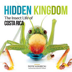 [View] EPUB 💑 Hidden Kingdom: The Insect Life of Costa Rica (Zona Tropical Publicati