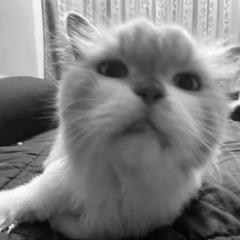 maybe in another life