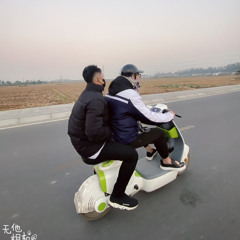Nước Mắt Lưng Tròng-Mix-Baby mouse🐭