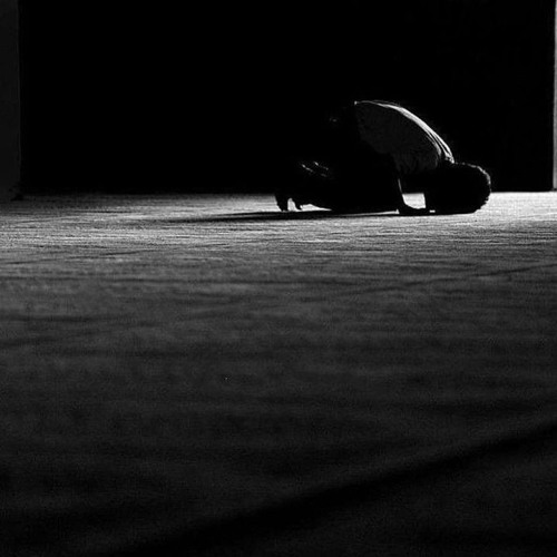 سورة هود || أحمد كاسب