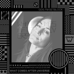 WHAT COMES AFTER UNIVERSE SETBLOCK #45 LUCY D.T.