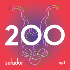 Premiere: Dave Seaman - Two By Two (Audio Junkies Remix) [Selador]