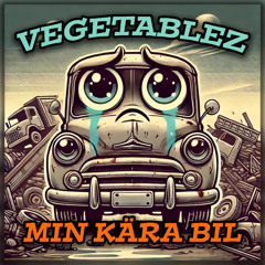 Min kära bil