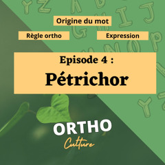 Episode 4 - Pétrichor