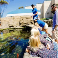 Best Birthday Things To Do In San Diego Tours Review
