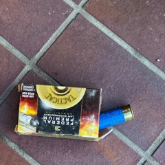 alaghieri - apple pie