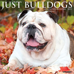 [Access] KINDLE 🖊️ Just Bulldogs 2023 Wall Calendar by  Willow Creek Press KINDLE PD