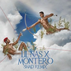 Lil Nas X - Montero (Shad remix)