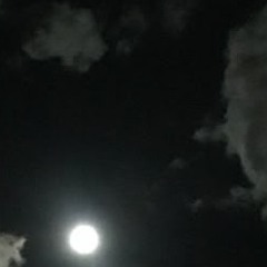 Untitled.3