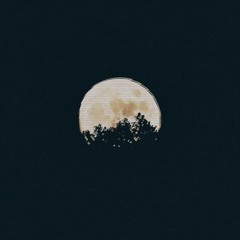 i want you back but its too late