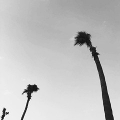 abdelAziz alduwaihi X Saad alFahad