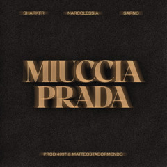 MIUCCIA PRADA + Narcolessia & sarno