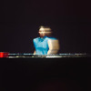 @ rose festival 2024 DJ mix artwork - Electronic music tracklist cover image