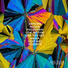 RR008 - David Mears - Low Motion LP (Continuous Mix)