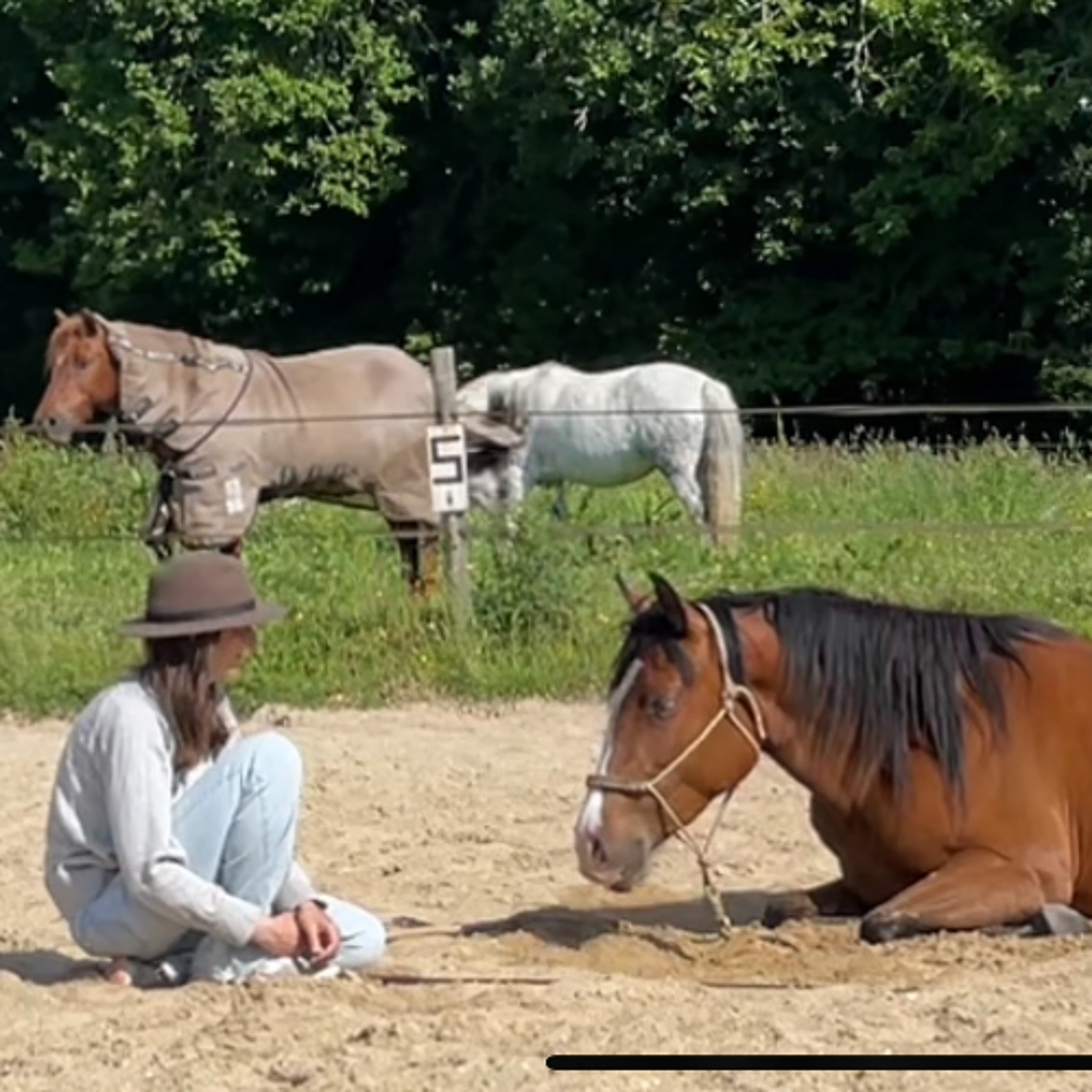Podcast %232 Série Coucher – Le jour où ton cheval sent vraiment le sol