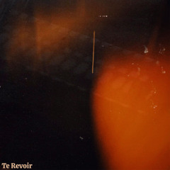 Te Revoir