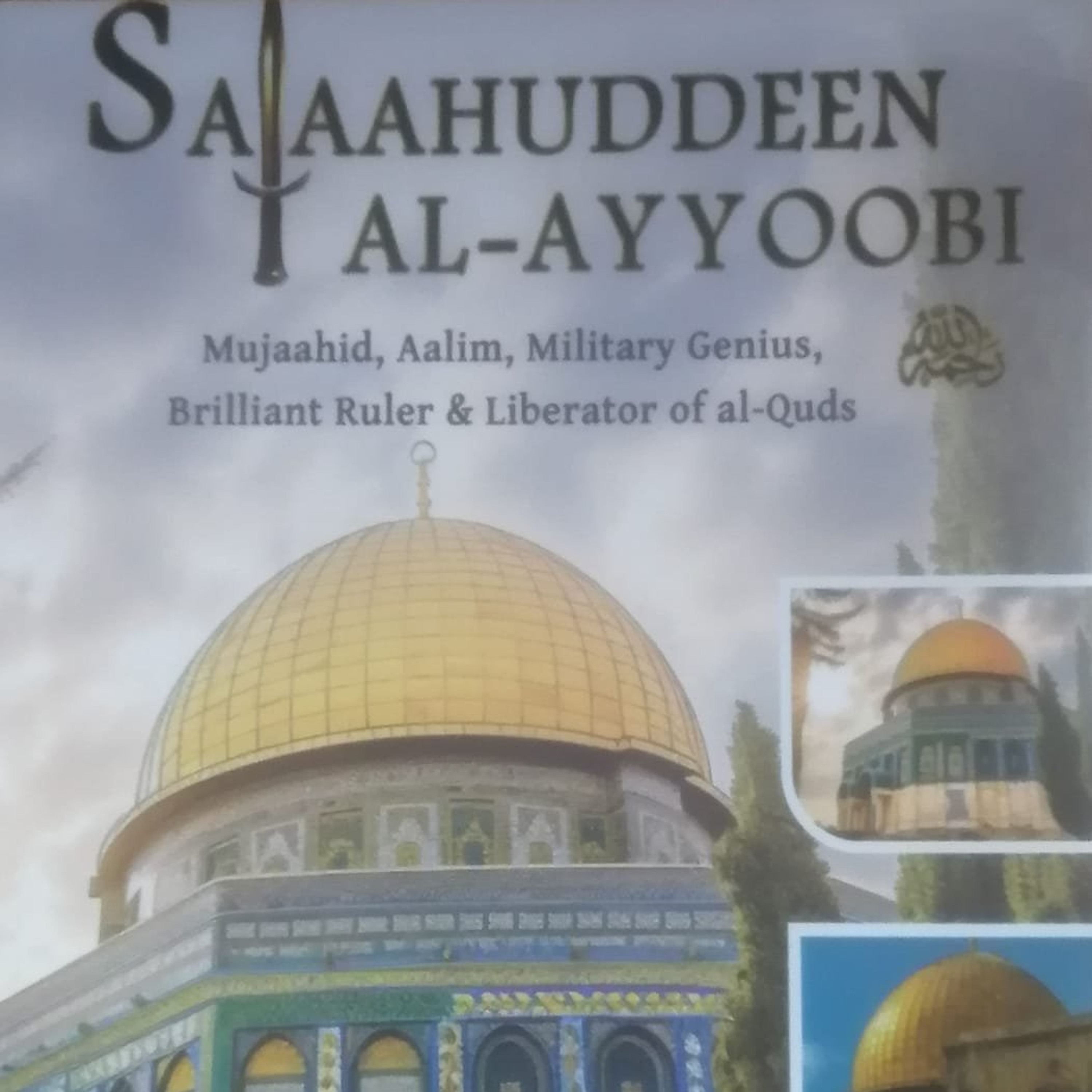The Book Review - Salaahuddeen Al Ayoobi episode artwork