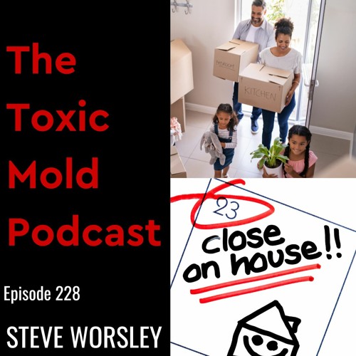 EP 228: Avoiding Black Mold When Purchasing a Home