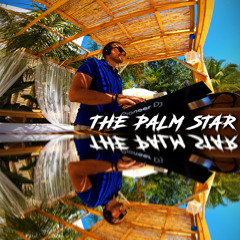 The Palm Star Ibiza Mix 15
