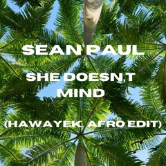 Sean Paul - She Doesn't Mind (HAWAYEK AFRO HOUSE Edit)