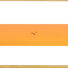 Everything is in front of u