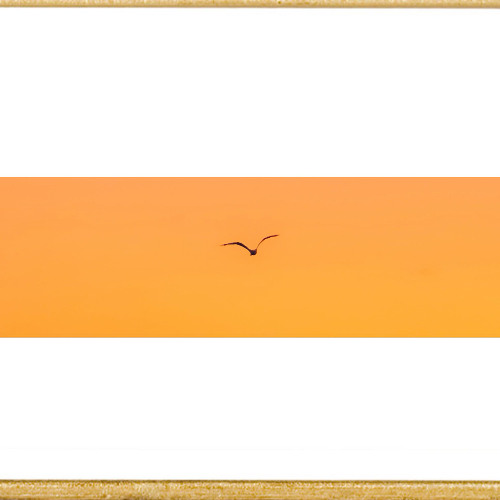 Everything is in front of u