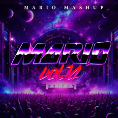 MARIO MASHUP 2024 Vol.14 (BIGROOM TECHNO)