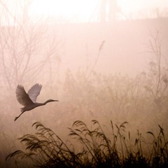 Mellow Morning (2015) Anthology CD2 Track 10