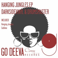 Darksidevinyl & DrumsMaster - Hanging Jungles (Original Mix)