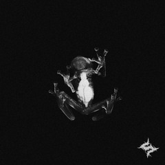 DOG BLOOD BEAK LAW (SVMPLEDEVTH REMIX OFICIAL AUDIO)