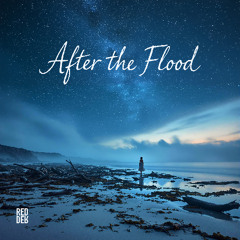 After The Flood