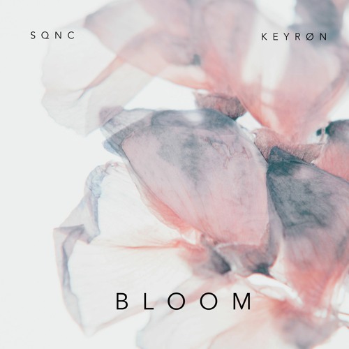 Sqnc & Keyrøn - Bloom