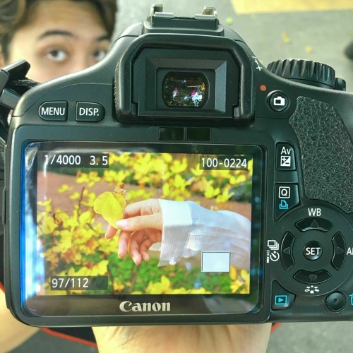 ผู้ถูกเลือกให้ผิดหวัง(ดอกไม้ฤดูหนาว) Visualizer - เรนิษรา