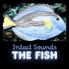 The Fish (remastered 2025)