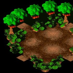 beware the forest's mushrooms