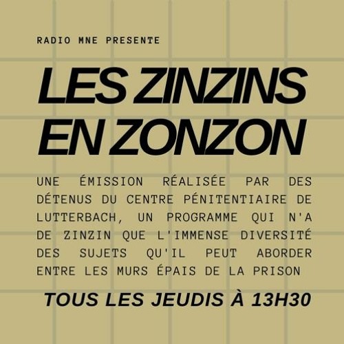 Les zinzins en zonzon - Les activités en détention - 22/06/23