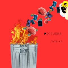 Pictures